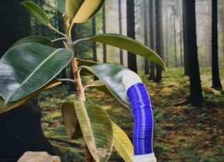 FiloBot: Autonomni robot koji se sam ispisuje i prilagođava oblik filobot 3d print autonomni robot koji ispisuje vlastito tijelo i raste te sukladno potrebama prilagođava svoj oblik